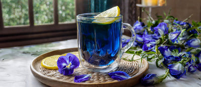 <b>Butterfly Pea Flower Tea & Its Vibrant Journey to Your Cup</b>