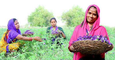 <b>Our Farmer's Story of Radha Mahto family  - Now earning 4 times more!</b>