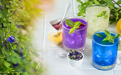 Iced Tea
